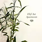 Elef-Ant Apartment